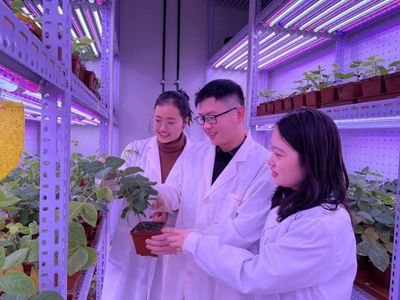 河南大學 聚焦農業科技創新，打造現代農業發展新高地