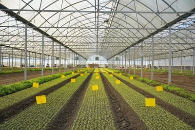 區領導深入調研農業科創谷推進工作，強調以科技創新驅動農業現代化發展